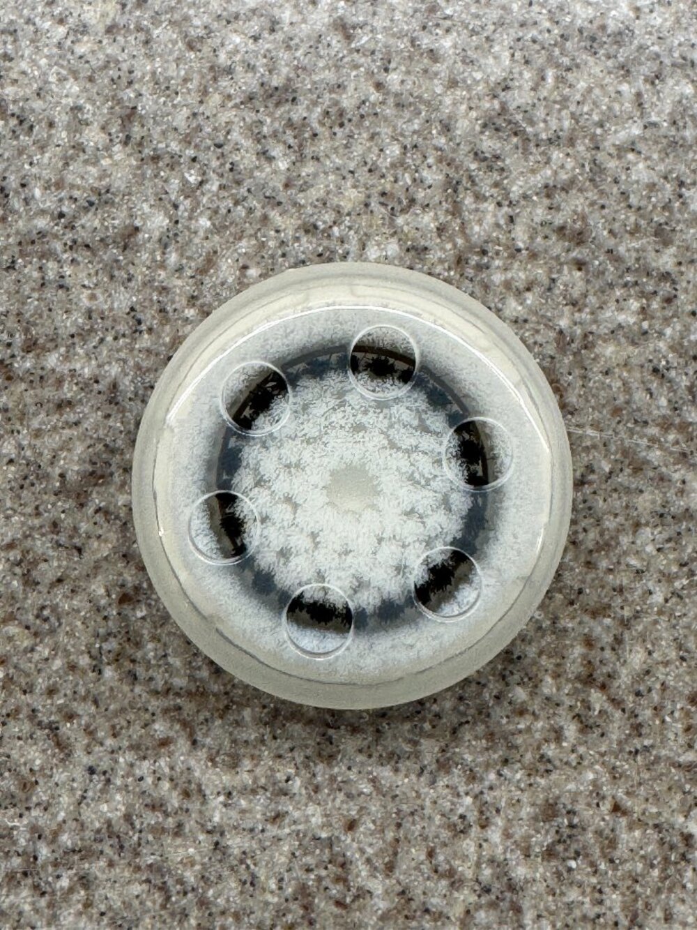 Sensitive Clarisonic Replacement Brush Head (1) for Smart Profile (pre-2019)